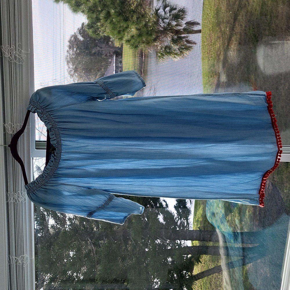 Wendy Williams dress size L